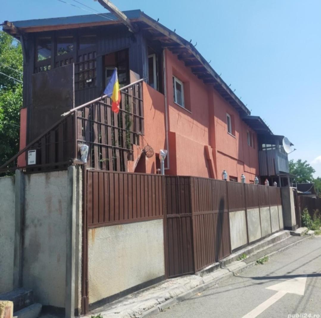 Elena Ap2 Bucarest
